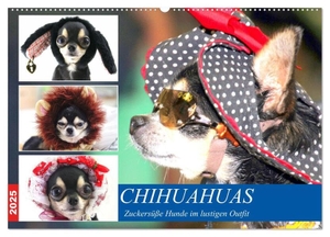 Hurley, Rose. Chihuahuas. Zuckersüße Hunde im lustigen Outfit (Wandkalender 2025 DIN A2 quer), CALVENDO Monatskalender - Reizende kleine Kobolde in niedlicher Hundekleidung. Calvendo, 2024.