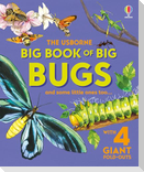 Big Book of Big Bugs