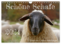 Schöne Schafe (Wandkalender 2024 DIN A4 quer), CALVENDO Monatskalender