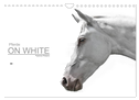 Pferde ON WHITE (Wandkalender 2024 DIN A4 quer), CALVENDO Monatskalender