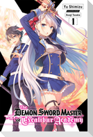 The Demon Sword Master of Excalibur Academy, Vol. 1 (light novel)