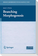 Branching Morphogenesis