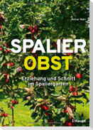 Spalierobst