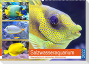 Salzwasseraquarium. Meeresfische im heimischen Wohnzimmer (Wandkalender 2022 DIN A2 quer)