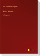 Rudin; A Novel