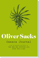 Oaxaca Journal