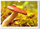 Pilze und Pilzgerichte (Wandkalender 2024 DIN A4 quer), CALVENDO Monatskalender