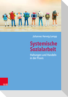 Systemische Sozialarbeit