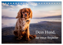 Dein Hund der treue Begleiter (Tischkalender 2024 DIN A5 quer), CALVENDO Monatskalender