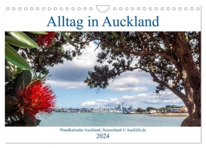 by Daniel Eisenhut, Aucklife. Wandkalender Auckland 2024 DIN A4 Quer (Wandkalender 2024 DIN A4 quer), CALVENDO Monatskalender - Monatskalender vom Alltagsleben in Auckland, Neuseeland. Calvendo, 2023.