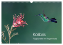 Kolibris - Flugkünstler im Regenwald (Wandkalender 2024 DIN A3 quer), CALVENDO Monatskalender