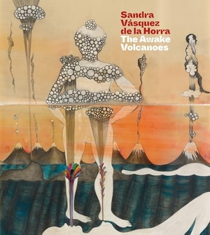 Vicuna, Cecilia / Heinrich, Christoph et al. Sandra Vasquez de la Horra - The Awake Volcanoes. Scala Arts & Heritage Publishers Ltd, 2024.
