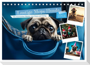 Lustige Mops-Hunde: Die charmanten Meister von Chaos und Unfug (Tischkalender 2024 DIN A5 quer), CALVENDO Monatskalender