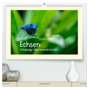 Echsen - Schuppige Überlebenskünstler (hochwertiger Premium Wandkalender 2024 DIN A2 quer), Kunstdruck in Hochglanz