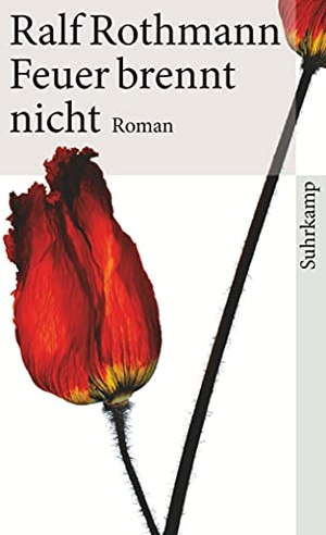 Rothmann, Ralf. Feuer brennt nicht. Suhrkamp Verlag AG, 2010.