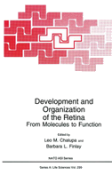 Development and Organization of the Retina
