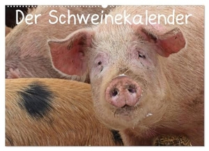 Schmutzler-Schaub, Christine. Der Schweinekalender (Wandkalender 2025 DIN A2 quer), CALVENDO Monatskalender - Glückliche Schweine in artgerechter Haltung, sowohl verschiedene alte Hausschweinrassen als auch Wildschweine in ihrer natürlichen Umgebung. Calvendo, 2024.