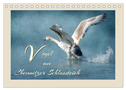 Vögel am Chemnitzer Schlossteich (Tischkalender 2025 DIN A5 quer), CALVENDO Monatskalender