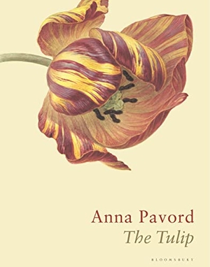 Pavord, Anna. The Tulip - The Story of a Flower That Has Made Men Mad. Bloomsbury Publishing PLC, 2019.