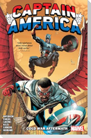 Captain America: Cold War Aftermath