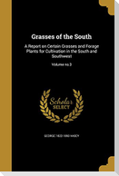 Grasses of the South