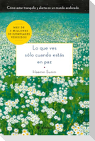 Lo Que Ves Sólo Cuando Estás En Paz