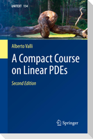 A Compact Course on Linear PDEs