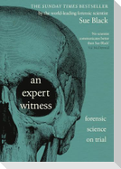 An Expert Witness