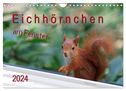 Eichhörnchen am Fenster (Wandkalender 2024 DIN A4 quer), CALVENDO Monatskalender
