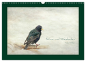Stare und Weisheiten (Wandkalender 2024 DIN A3 quer), CALVENDO Monatskalender