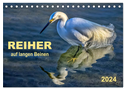 Reiher - auf langen Beinen (Tischkalender 2024 DIN A5 quer), CALVENDO Monatskalender