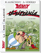 La zitzània