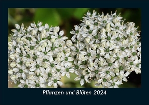 Tobias Becker. Pflanzen und Blüten 2024 Fotokalender DIN A5 - Monatskalender mit Bild-Motiven aus Fauna und Flora, Natur, Blumen und Pflanzen. Vero Kalender, 2023.