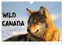 Wild Canada (Wall Calendar 2024 DIN A4 landscape), CALVENDO 12 Month Wall Calendar