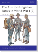 The Austro-Hungarian Forces in World War I (2): 1916-18