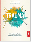 Trauma verstehen, bearbeiten, überwinden