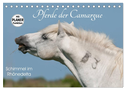 Pferde der Camargue ¿ Schimmel im Rhônedelta (Tischkalender 2024 DIN A5 quer), CALVENDO Monatskalender