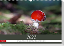 Waldpilz-Impressionen (Wandkalender 2022 DIN A3 quer)