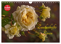 Zauberhafte Rosen (Wandkalender 2024 DIN A4 quer), CALVENDO Monatskalender