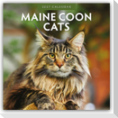 Maine Coon Cats - Maine Coon Katzen 2027 - 16-Monatskalender