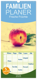 Familienplaner 2025 - Frische Früchte mit 5 Spalten (Wandkalender, 21 x 45 cm) CALVENDO