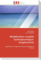 Modélisation couplée hydrodynamique-biogéochimie