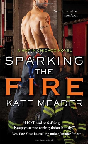 Meader, Kate. Sparking the Fire. Pocket Books, 2016.