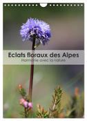 Éclats floraux des Alpes - Harmonie avec la nature (Calendrier mural 2025 DIN A4 horizontal), CALVENDO calendrier mensuel