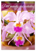 Petit paradis des orchidées (Calendrier mural 2025 DIN A3 horizontal), CALVENDO calendrier mensuel