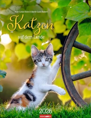 Katzen auf dem Lande Kalender 2026 - Süße Kätzchen in ländlicher Idylle: Ein Foto-Kalender zum Dahinschmelzen. Planer mit Platz zum Eintragen. Hochformat 30 x 39 cm. Weingarten, 2025.