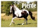 Pferde - mächtig, stolz & schön (Wandkalender 2024 DIN A3 quer), CALVENDO Monatskalender