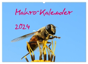Witkowski, Bernd. Makro-Kalender 2024 (Wandkalender 2024 DIN A2 quer), CALVENDO Monatskalender - Ein Jahreskalender mit Makros über unsere einheimischen Insekten. Calvendo Verlag, 2023.