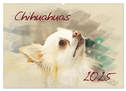 Chihuahuas 2025 (Wandkalender 2025 DIN A2 quer), CALVENDO Monatskalender