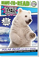Polar Bear Fur Isn't White!